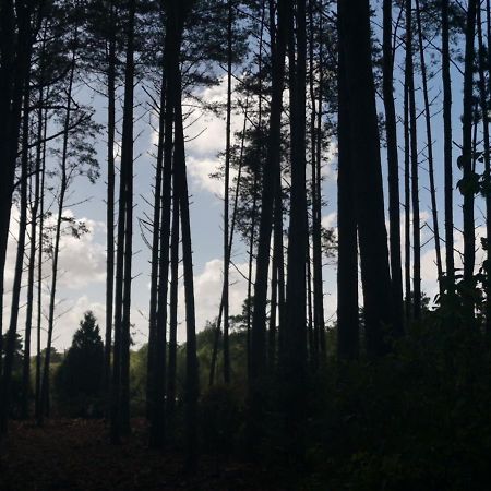 Forest Heath Shepherd'S Huts 灵伍德 外观 照片
