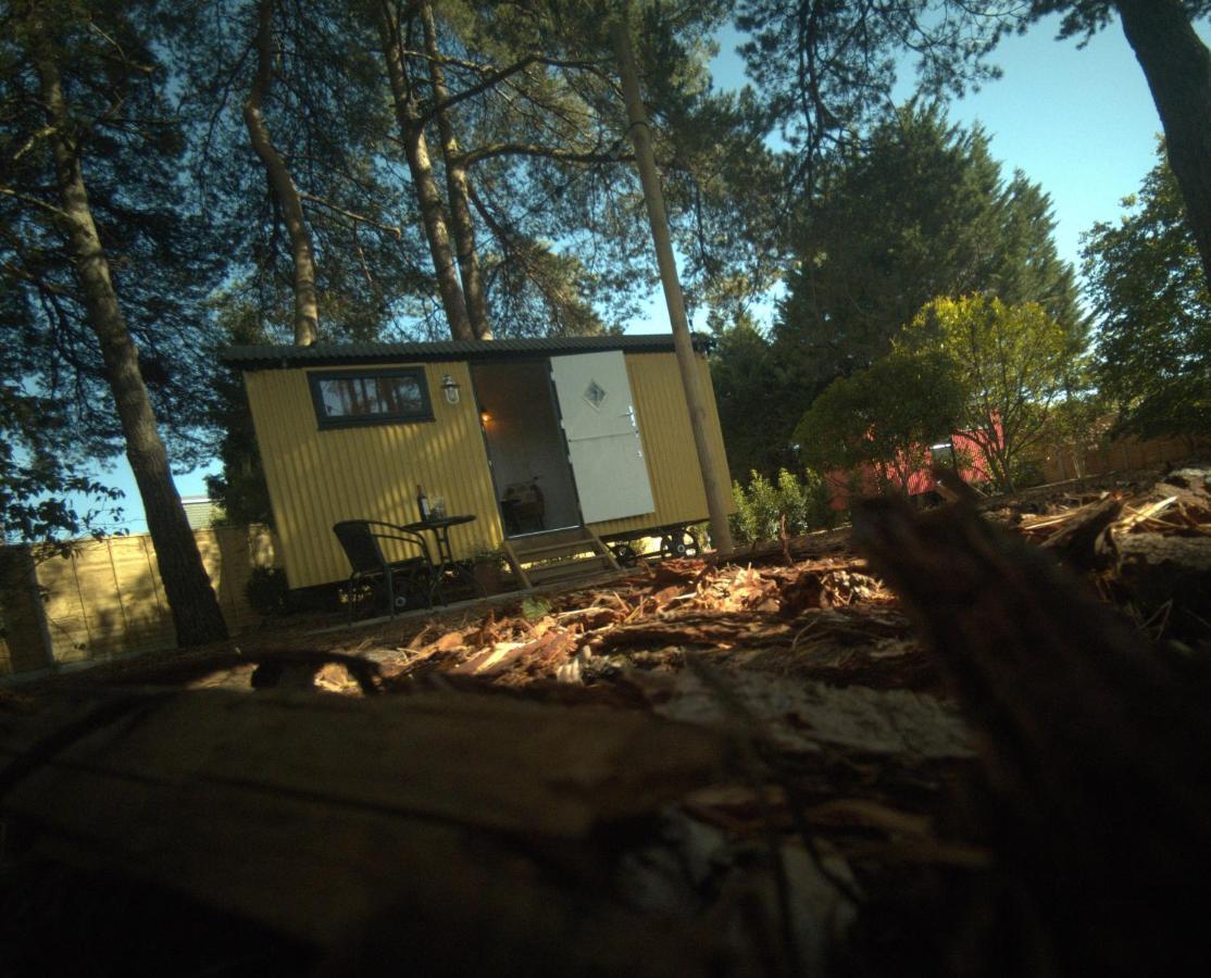 Forest Heath Shepherd'S Huts 灵伍德 外观 照片