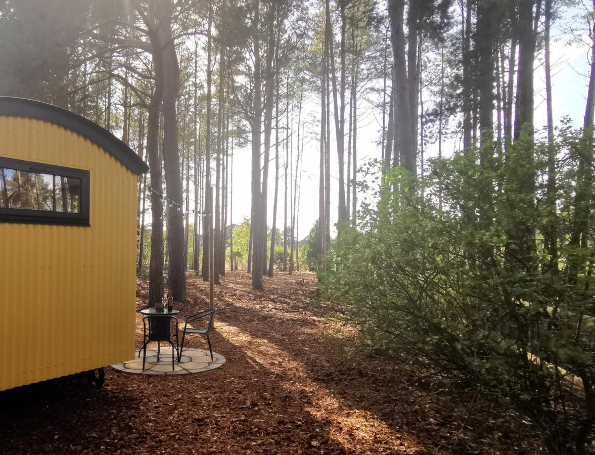 Forest Heath Shepherd'S Huts 灵伍德 外观 照片
