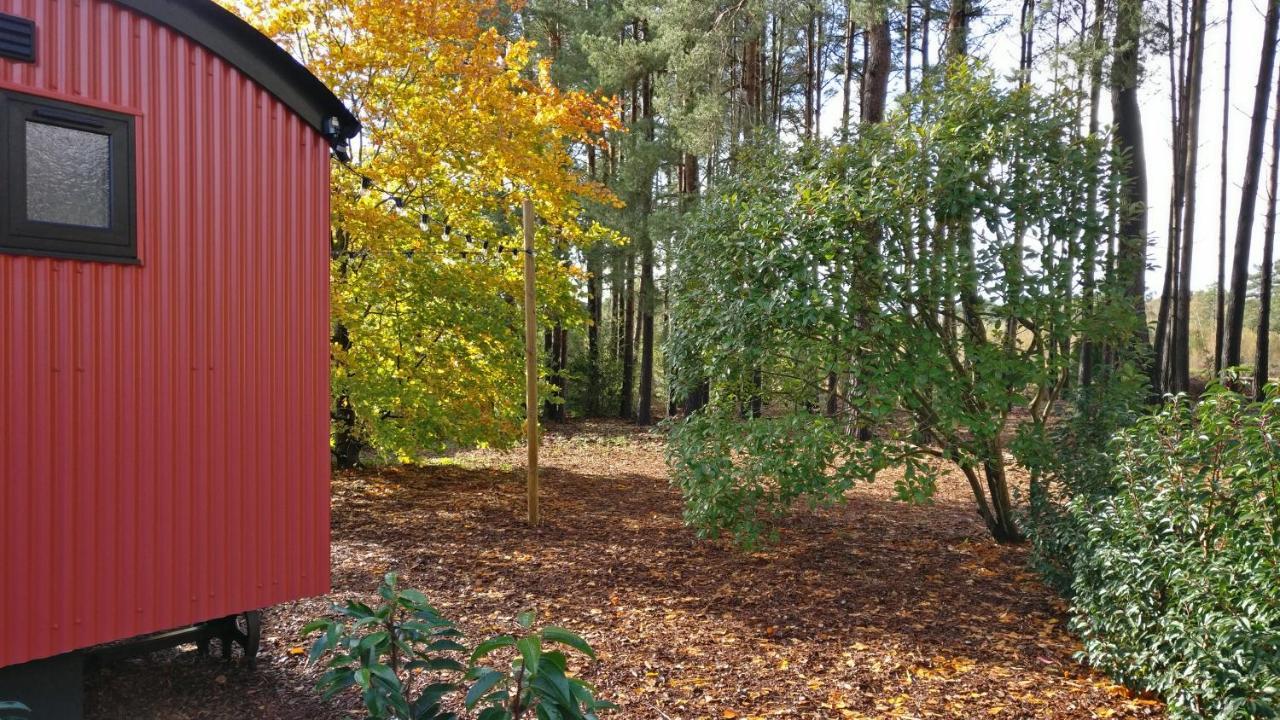 Forest Heath Shepherd'S Huts 灵伍德 外观 照片