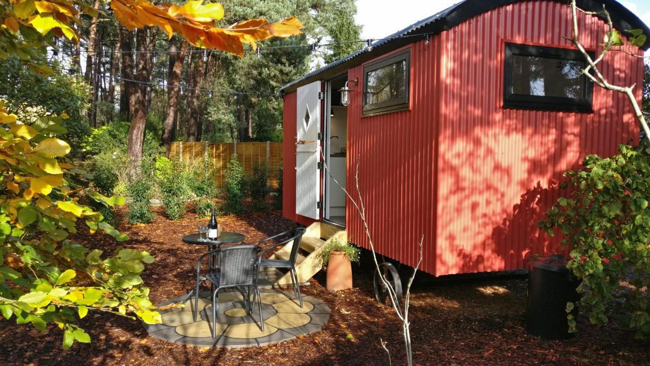 Forest Heath Shepherd'S Huts 灵伍德 外观 照片