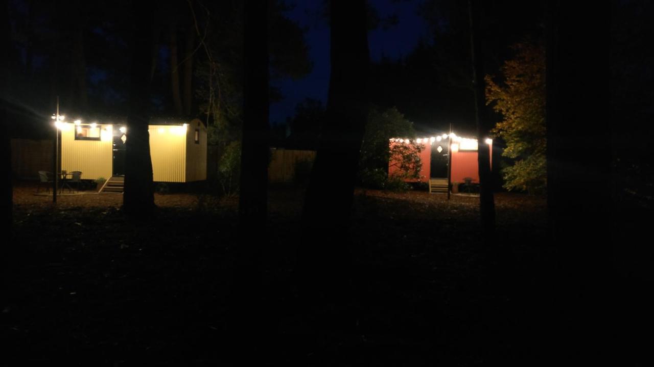 Forest Heath Shepherd'S Huts 灵伍德 外观 照片